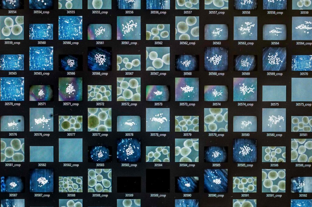 मानव मिनी–मस्तिष्कले चलाउँदैछ नयाँ पुस्ताको कम्प्युटर ‘वेटवेयर’