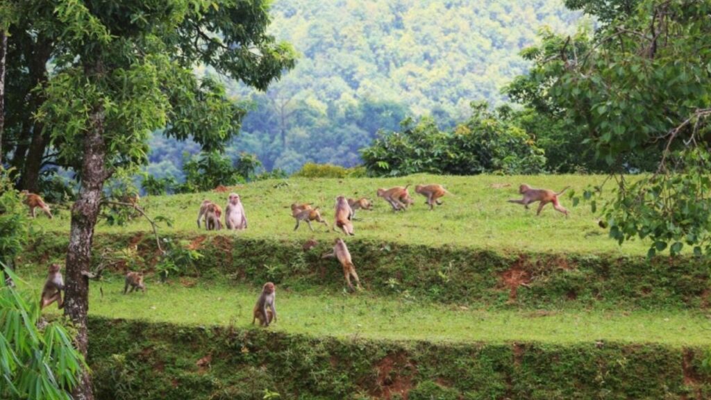 पन्ध्र हजार हेक्टर जमिन बाँझै