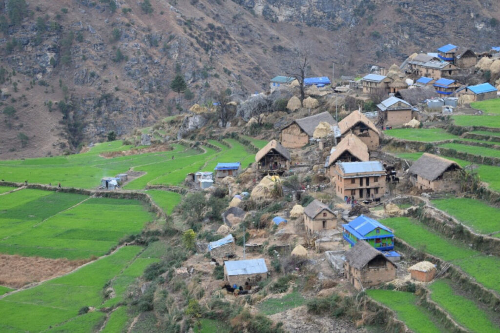 कर्णाली प्रदेशमा कृषि बालीले ढाकेको भूमि घट्यो