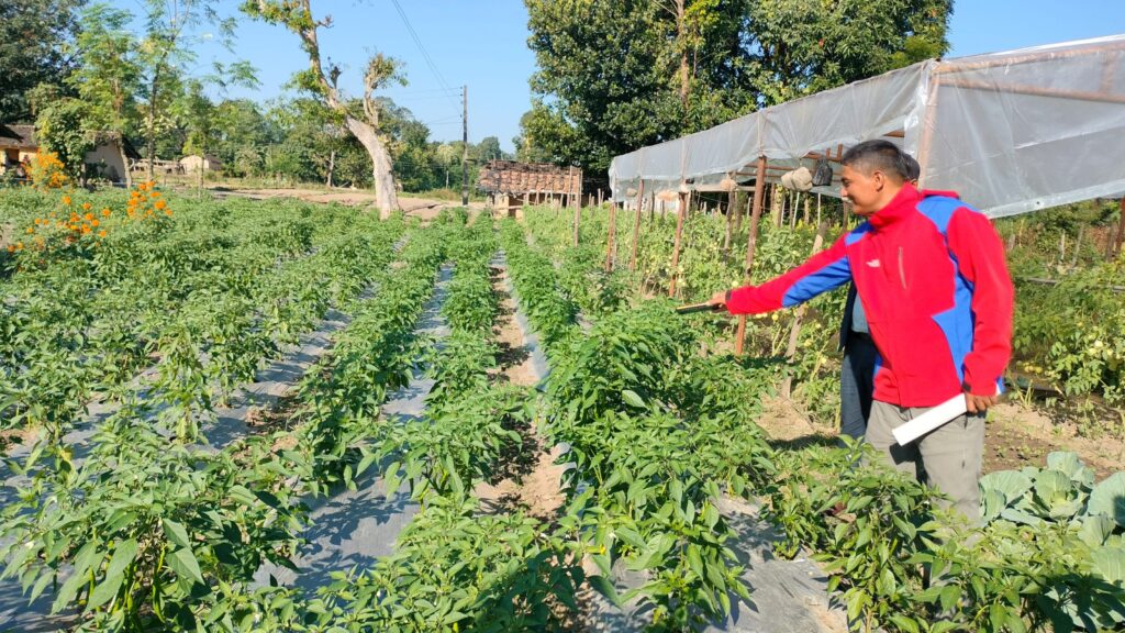 व्यावसायिक तरकारीखेती गरेर आत्मनिर्भर बन्दै मुक्तकमैया