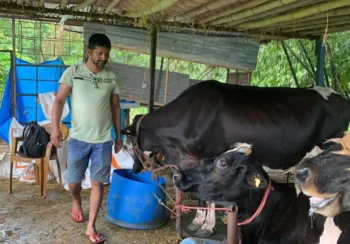 पसिनाका गन्धमा सफलता खोज्ने तिवारी