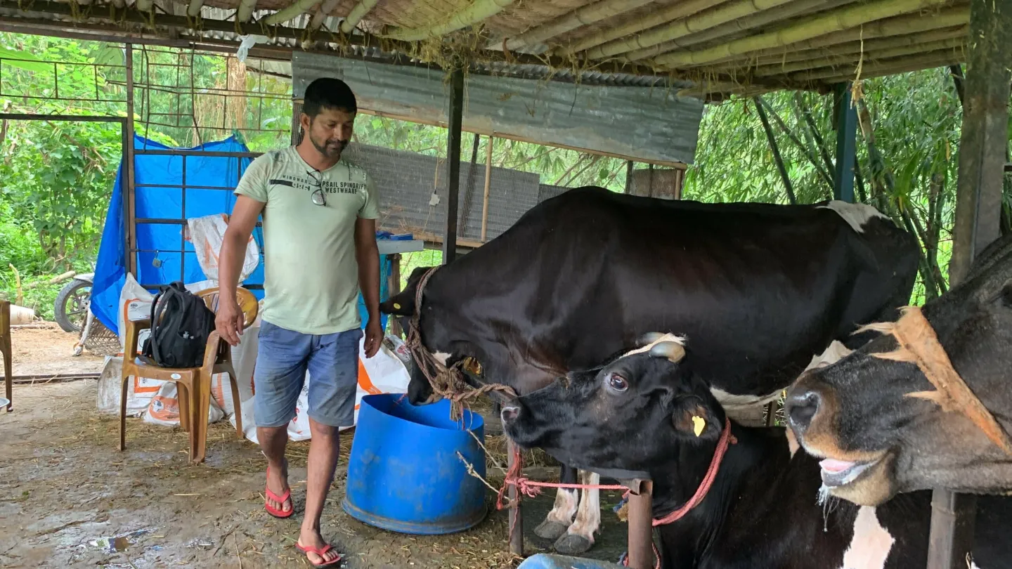 पसिनाका गन्धमा सफलता खोज्ने तिवारी