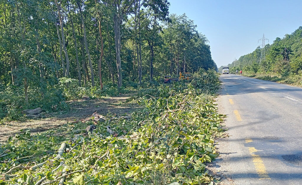 पूर्व–पश्चिम राजमार्ग विस्तार गर्न ६ हजार रुख काटिने