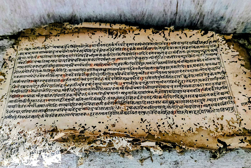 धमिराको आहारा बन्दै आदिकविका हस्तलिखित रचना