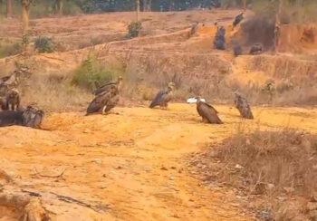 बर्दिबासको पर्यावरणबारे बढ्दै चासो