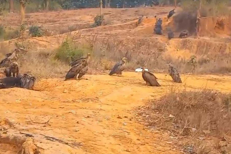 बर्दिबासको पर्यावरणबारे बढ्दै चासो