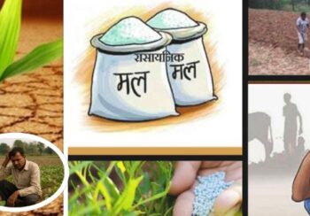 ‘माटोको स्वास्थ्यमा रातो बत्तीः रासायनिक मलको दुरुपयोगले घट्दै उत्पादन, किसान झनै चिन्तित’