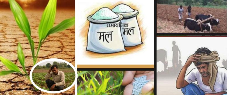 ‘माटोको स्वास्थ्यमा रातो बत्तीः रासायनिक मलको दुरुपयोगले घट्दै उत्पादन, किसान झनै चिन्तित’