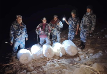 सशस्त्र प्रहरीद्वारा ठोरीमा ९१ किलोग्राम अबैधगाँजा बरामद