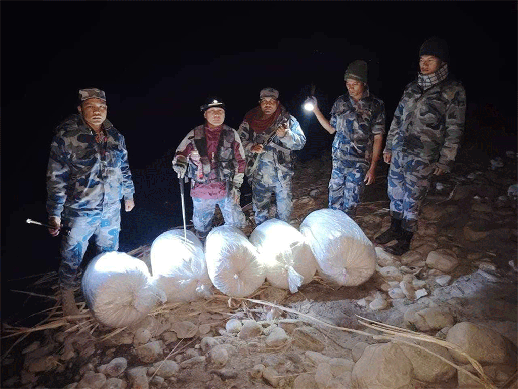 सशस्त्र प्रहरीद्वारा ठोरीमा ९१ किलोग्राम अबैधगाँजा बरामद