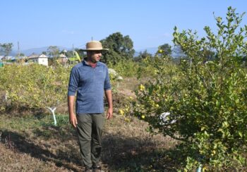 व्यावसायिक कागतीखेतीमा व्यस्त सिभिल इन्जिनियर लोहनी