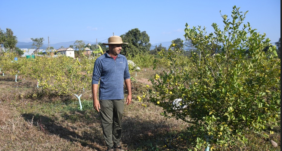 व्यावसायिक कागतीखेतीमा व्यस्त सिभिल इन्जिनियर लोहनी