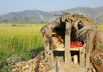 बडीमालिकाका सात वडा छाउपडी गोठमुक्त