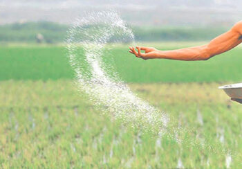 रासायनिक मलको जथाभावी प्रयोगले घट्दै माटोको उर्वराशक्ति