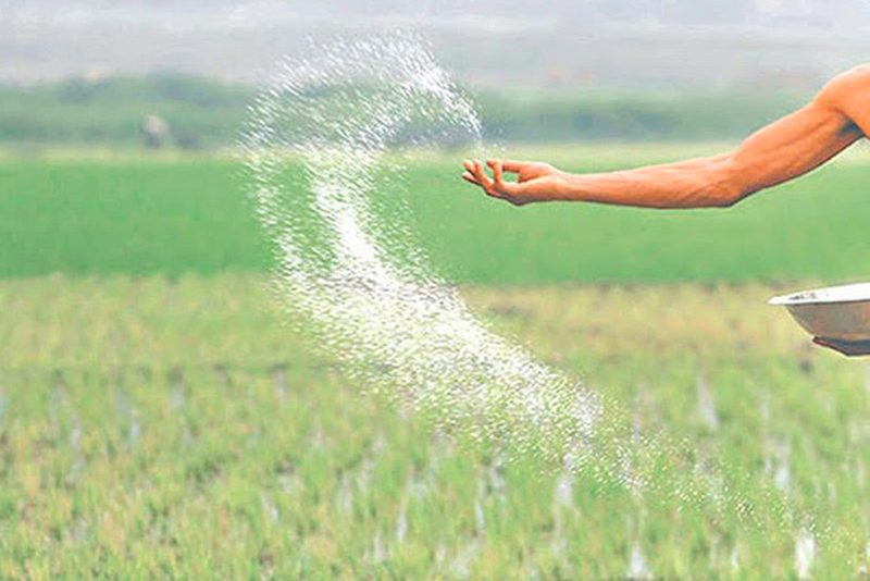 रासायनिक मलको जथाभावी प्रयोगले घट्दै माटोको उर्वराशक्ति