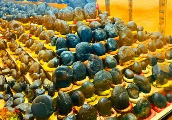 धार्मिक पर्यटकका लागि आकर्षक गन्तव्य बन्दै शालग्राम सङ्ग्रहालय