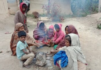 चिसोमा चटाइ र घूरको भर