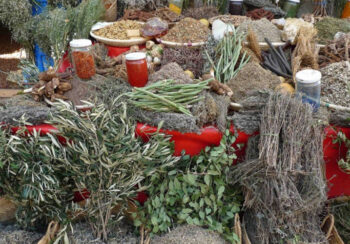 जडीबुटीमा किसानलाई आकर्षित गर्दै प्रशोधन केन्द्र