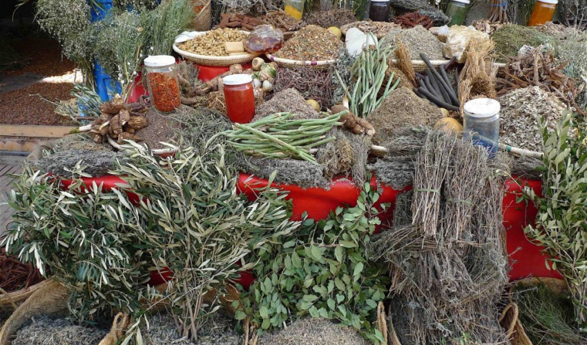 जडीबुटीमा किसानलाई आकर्षित गर्दै प्रशोधन केन्द्र