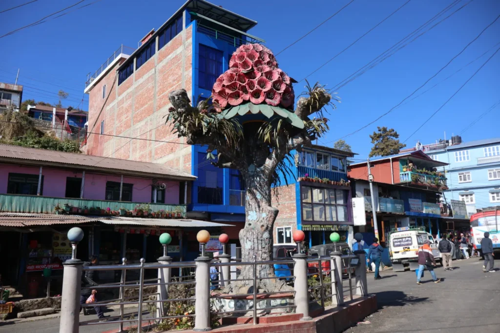 स्थानीय पहिचान झल्काउने ‘स्तम्भ’