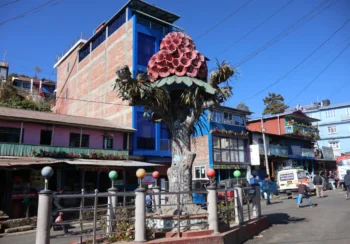 स्थानीय पहिचान झल्काउने ‘स्तम्भ’