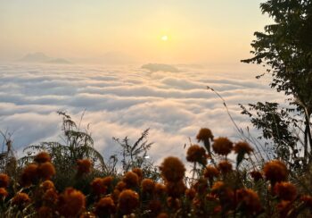तराईमा हुस्सुको प्रभाव, उच्च पहाडी क्षेत्रमा हल्का वर्षा र हिमपातको सम्भावना
