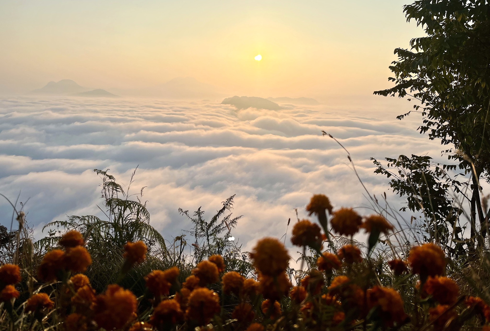तराईमा हुस्सुको प्रभाव, उच्च पहाडी क्षेत्रमा हल्का वर्षा र हिमपातको सम्भावना