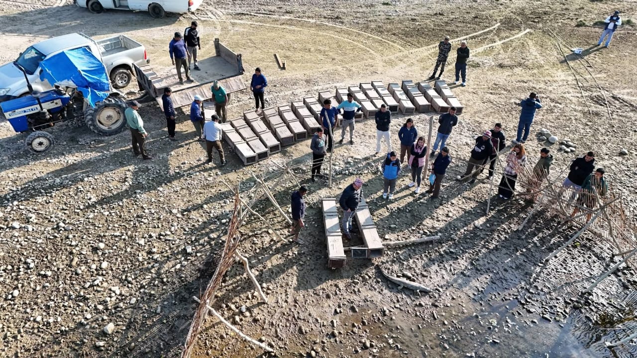 सङ्कटापन्न घडियालको प्राकृतिक वासस्थानमा जोगाउनै मुस्किल