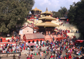 माघ शुक्ल चतुर्थीः माधवनारायणका वर्तालुद्वारा पनौतीमा पूजा