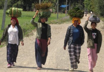 थारु बस्तीमा बढ्यो माघीको चहलपल