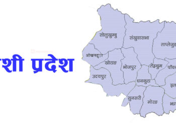 कोशी प्रदेशमा स्टार्टअप उद्यममा दुई अर्ब ५६ लगानी