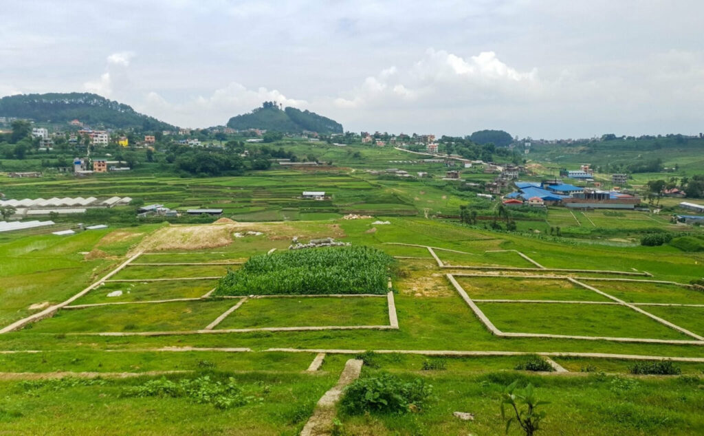 घरजग्गा कारोबारबाट माघमा पाँच अर्ब राजस्व संकलन