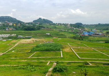 घरजग्गा कारोबारबाट माघमा पाँच अर्ब राजस्व संकलन